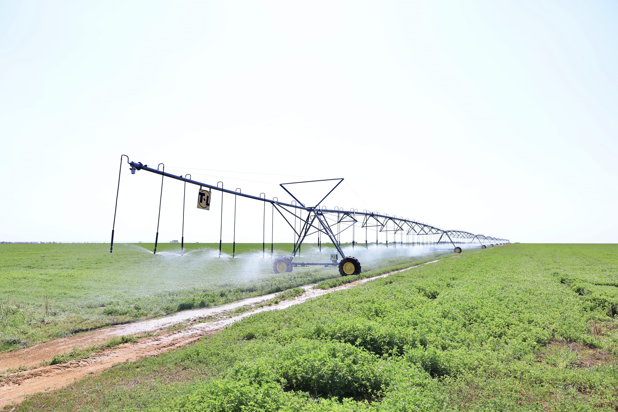 Qaǵaz júzindegi kooperatıv aýyldy qutqara ma?