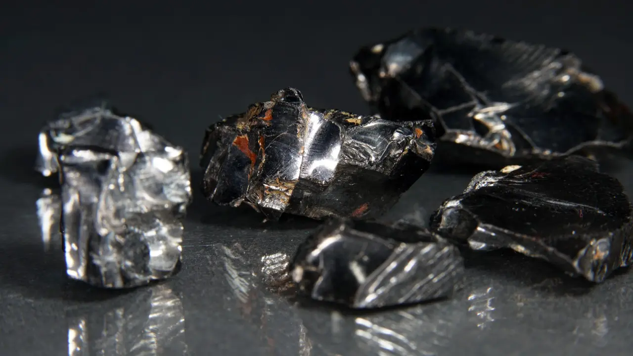 Gallıı Japonııaǵa eksporttalady