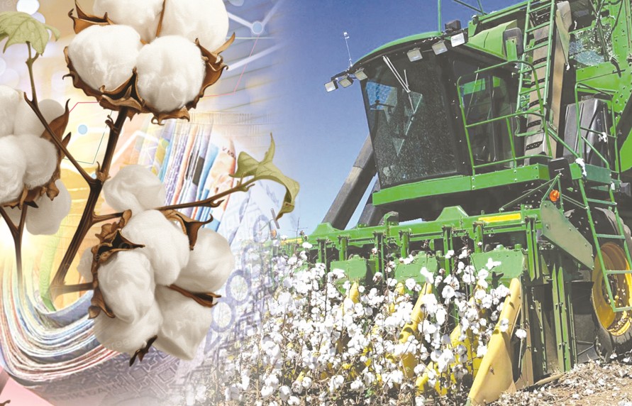 Maqta-toqyma klasteri: Jańa ındýstrııalyq kezeń