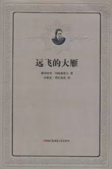 Aqıyq aqyndy shetel oqyrmany qalaı baǵalaıdy?