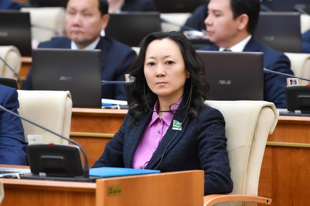 «Volonterlik» uǵymyn Konstıtýsııada bekitý usynyldy