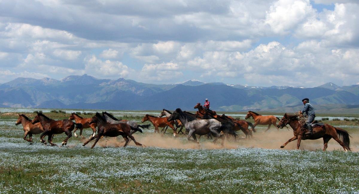 TО́RE TÚLIK TО́RGE OZSYN DESEK...