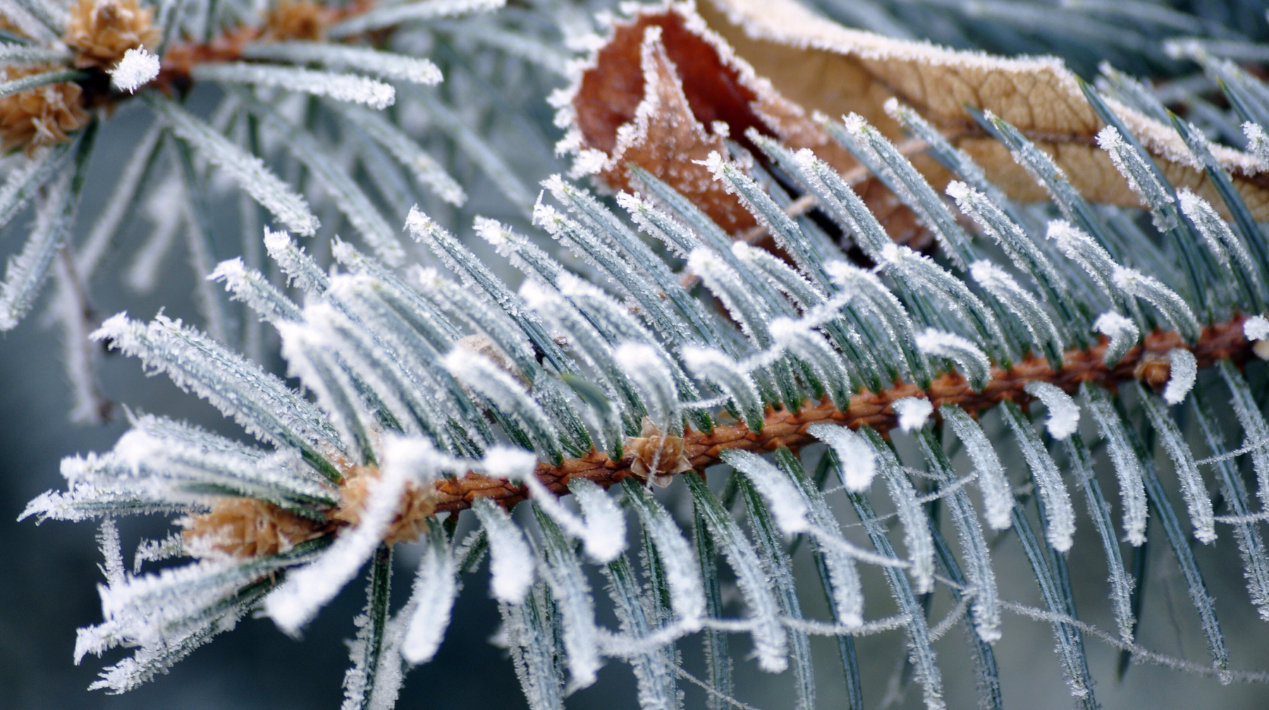 Elimizdiń 17 óńirinde daýyldy eskertý jarııalandy