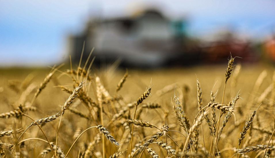 Úkimet iri jer ıelenýshilerge qandaı talap qoıdy?