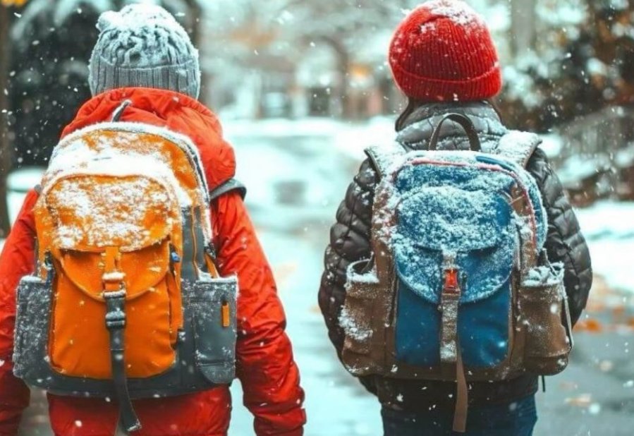 Búgin Astanada birinshi aýysym oqýshylary onlaın oqıdy