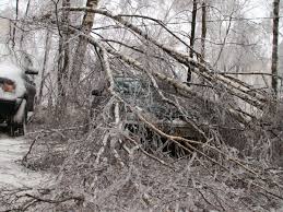 Shymkentte ústine aǵash qulaǵan 4-synyp oqýshy qaza tapty