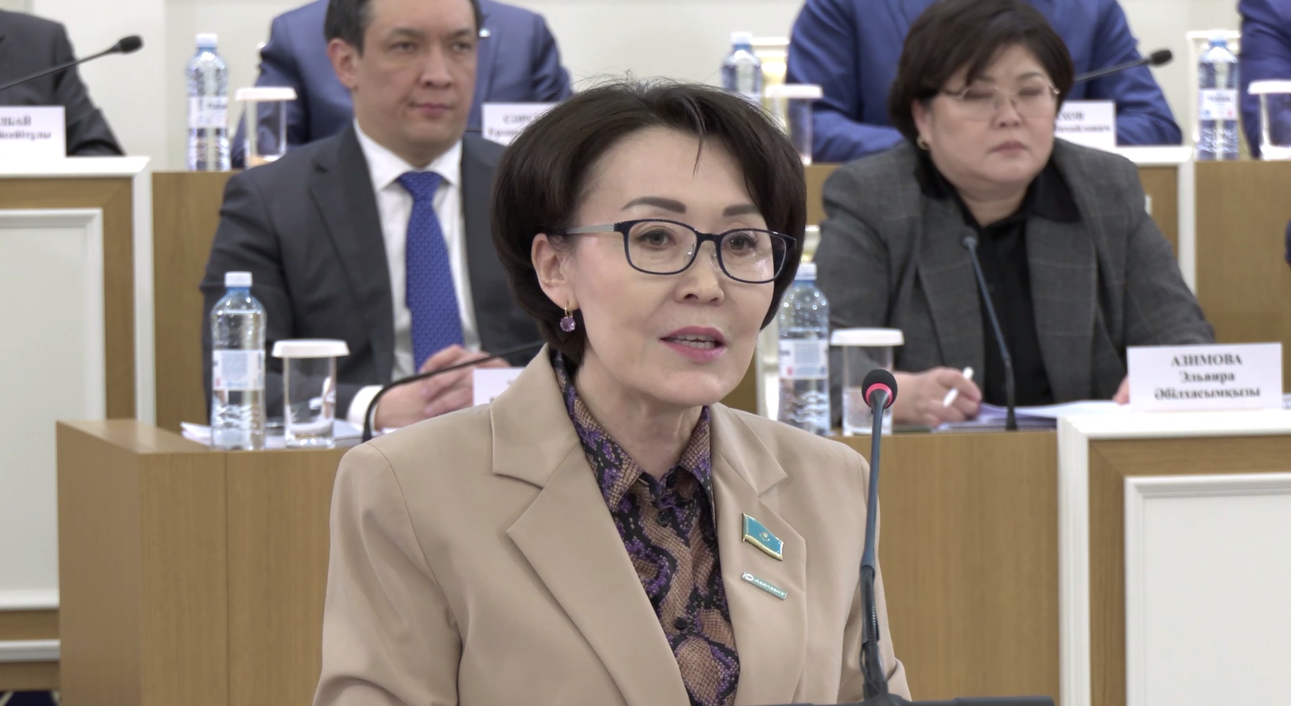 Únzıla Shapaq: Jańa Konstıtýsııa jobasynda tarıhymyz alǵash ret myzǵymas ulttyq qundylyq retinde tanyldy