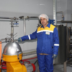 Túıe súti shetel naryǵyna shyǵady