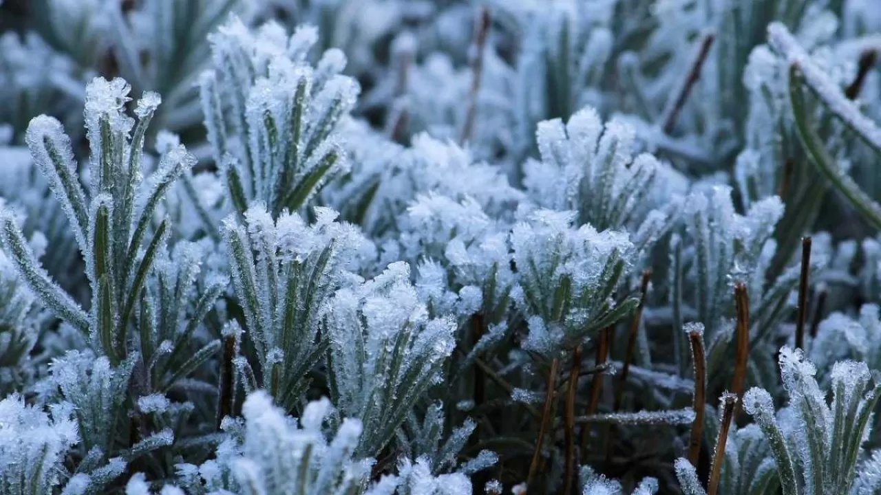 Qazaqstanda kún kúrt sýytady