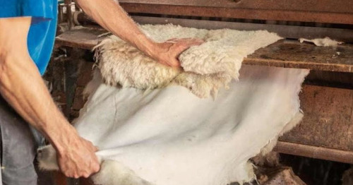 Teri óńdeý zaýyttaryna 10 mlrd teńgege jýyq ınvestısııa salynady