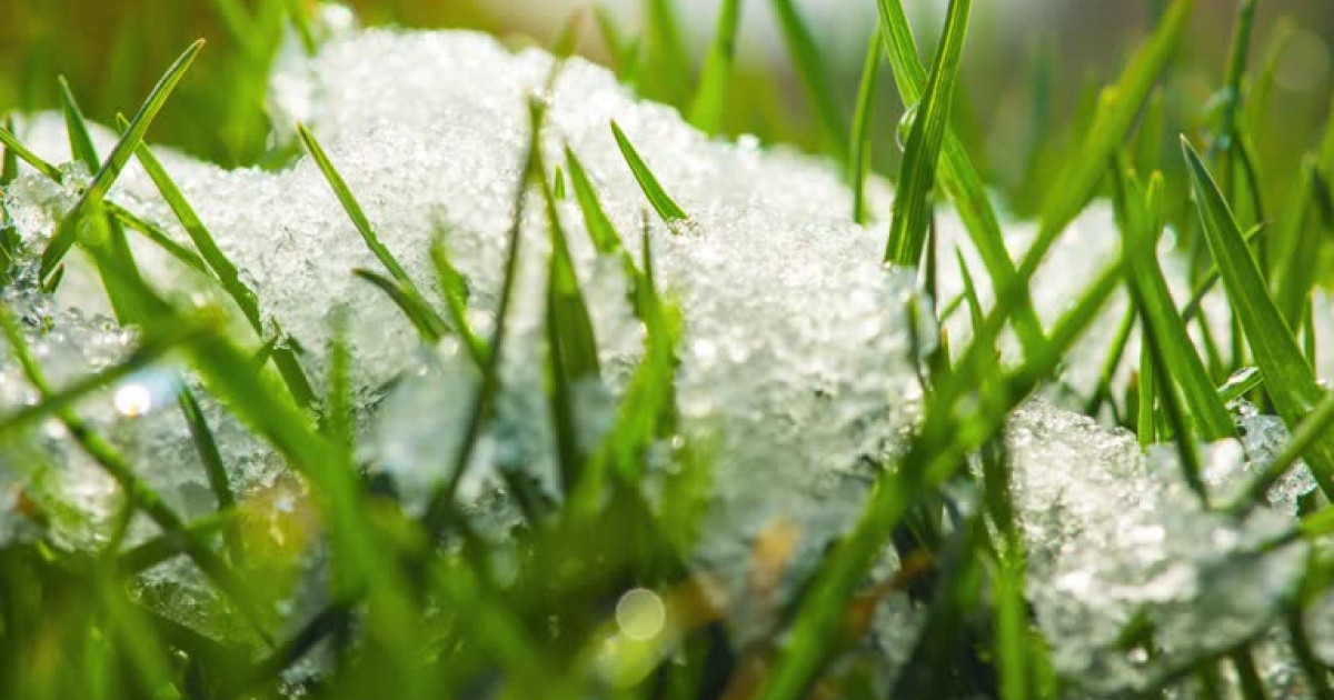 Qazaqstan halqy naýryz aıynda qansha kún demalady?