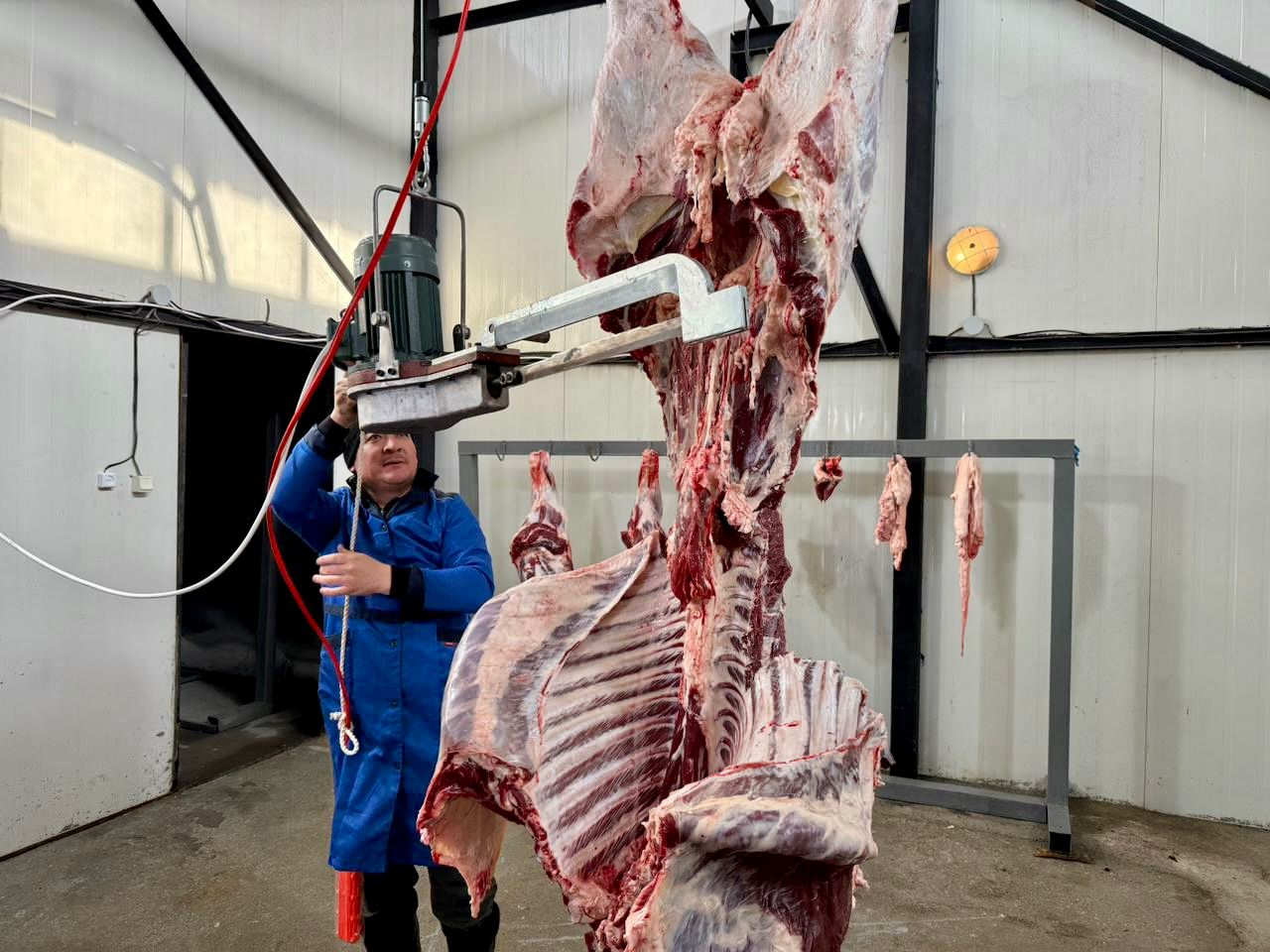 Sheńgeldi aýylynda mal soıý pýnkti iske qosyldy