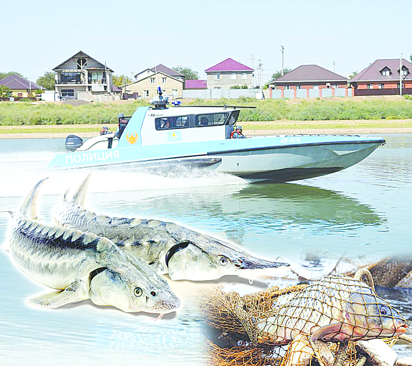 О́skemende zańsyz aýlanǵan 4 tonnadan astam balyq tárkilendi