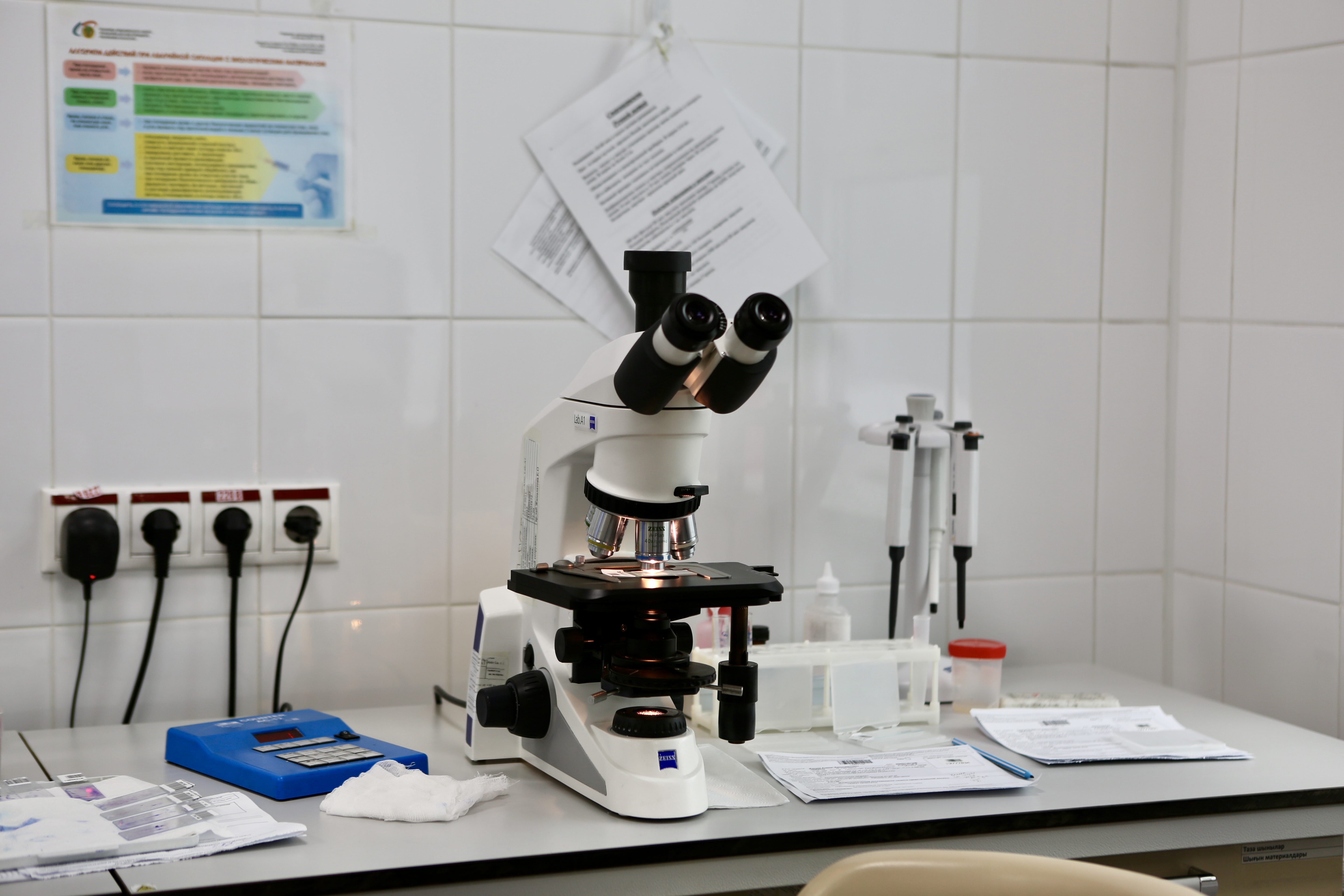 Endi gormondyq taldaýlardy JI arqyly jedel tekserýge bolady