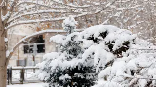 Jańbyr men qar, boran: Erteń elimizde aýa raıy qandaı bolady?
