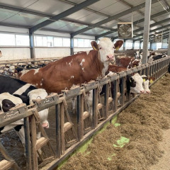 Mal sharýashylyǵynda ósim bar