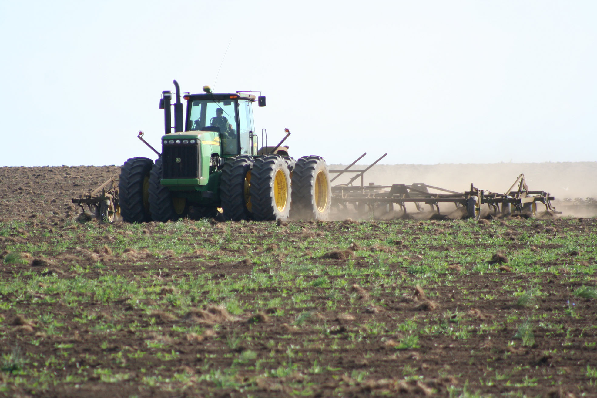Qostanaı oblysynda 5 mln gektar alqapqa egin egiledi