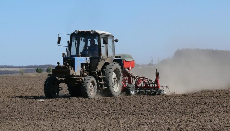 Qyzylorda kúrishtiń ornyna egetin daqyldy tańdady