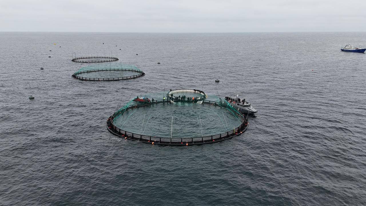 Aıryqsha akvamádenıet