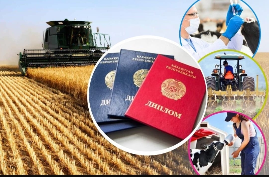 Keles aýdanyna «Dıplommen aýylǵa» baǵdarlamasymen 120 maman keldi