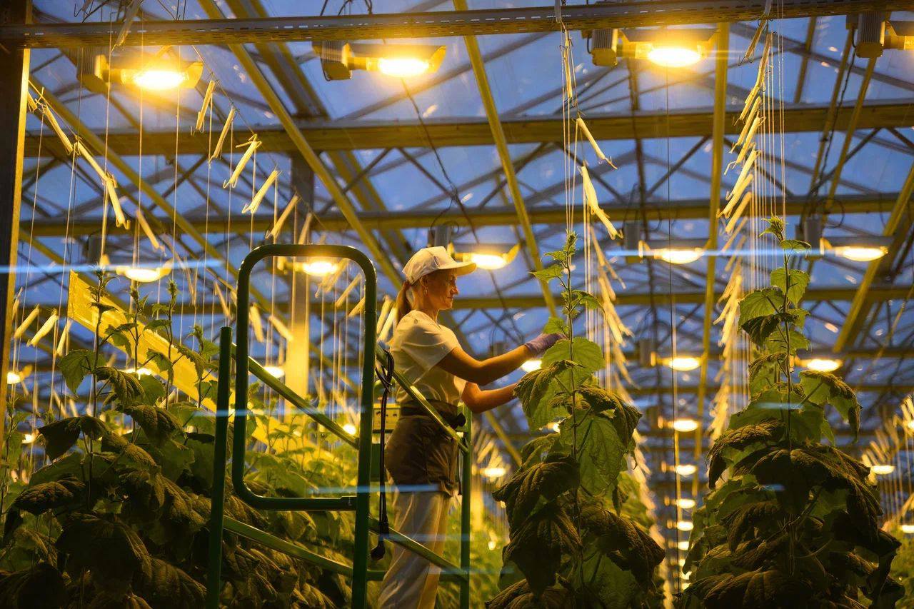 «Zelenyı Sever» ujymymen kezdesýde Konstıtýsııa jobasynyń negizgi erejeleri talqylandy