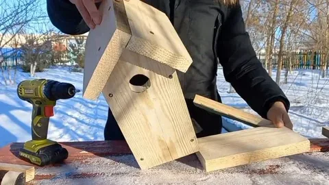 Jambyldyq polıseıler qustarǵa uıa salyp berdi