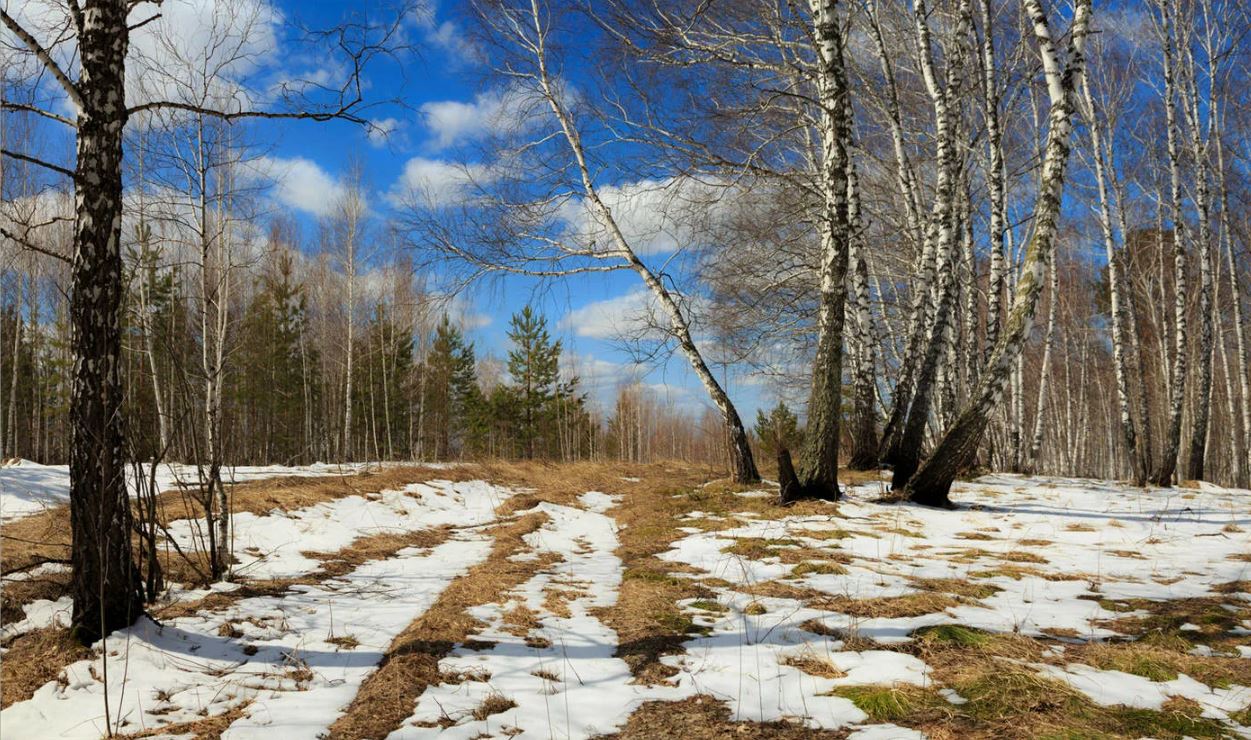 Tabıǵat synaǵyna tosqaýyl