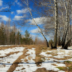 Tabıǵat synaǵyna tosqaýyl