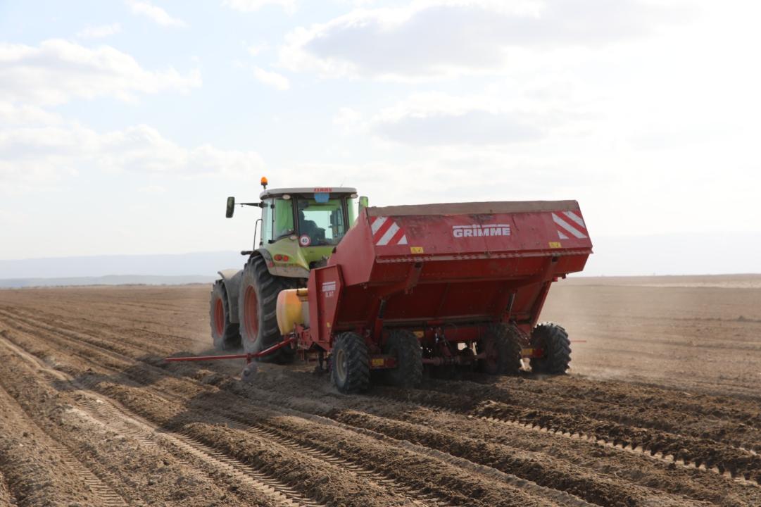 Jambyl oblysynda 623,3 myń gektarǵa aýyl sharýashylyǵy daqyldary ornalastyrylady