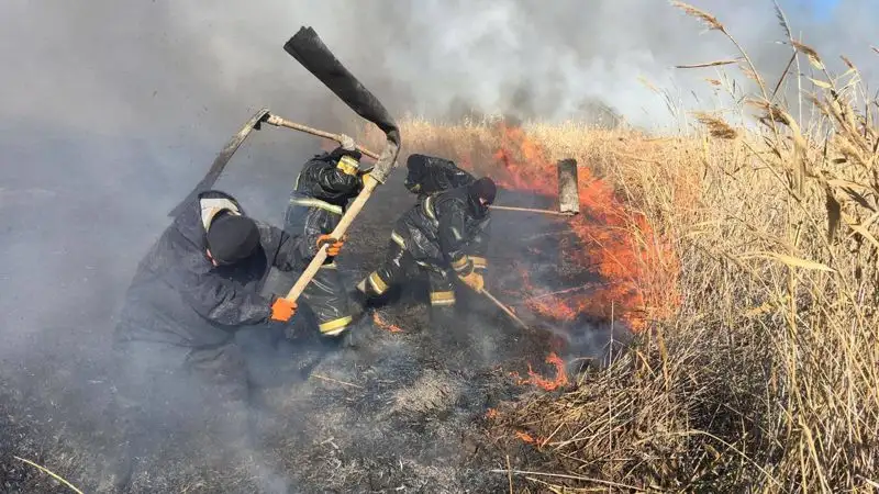 Atyraýdaǵy Alǵabas aýylynan 5 shaqyrym qashyqta qamys janyp jatyr