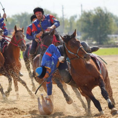 Túrkistanda kókpardan álem chempıonaty ótedi