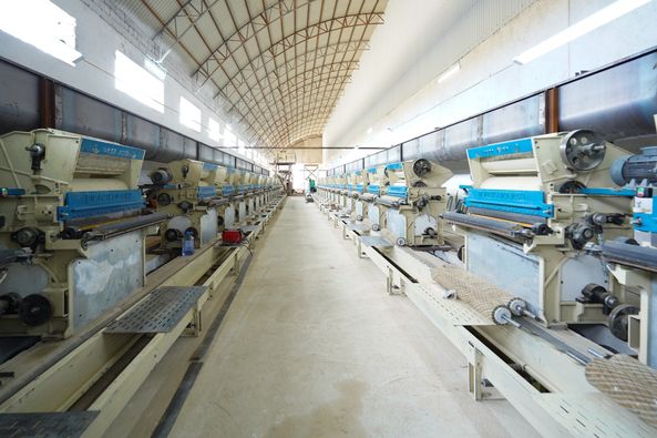 Kókshetaýda jylyna 300 myń tonna ósimdik maıy óndirilmek