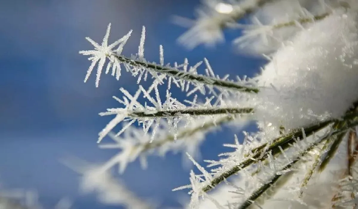 Elimizdiń basym bóliginde aýa raıy kúrt nasharlaıdy