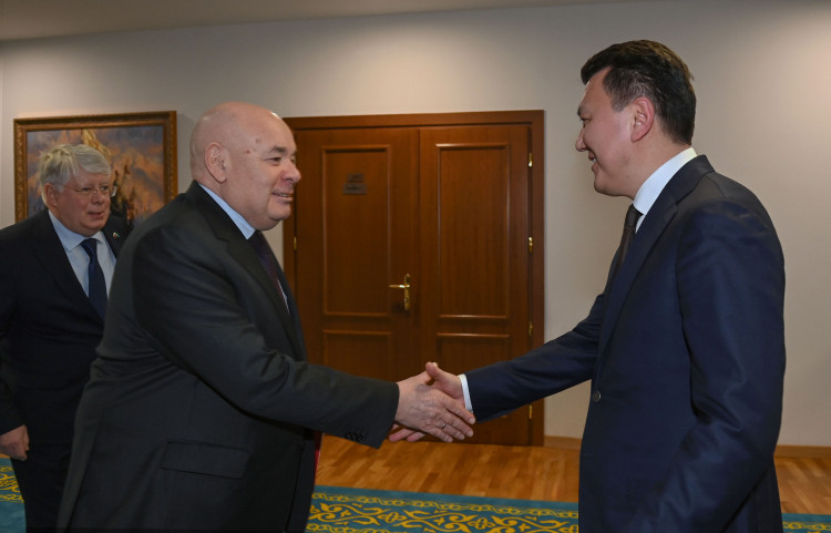 Erlan Qarın Mıhaıl Shvydkoımen kezdesti