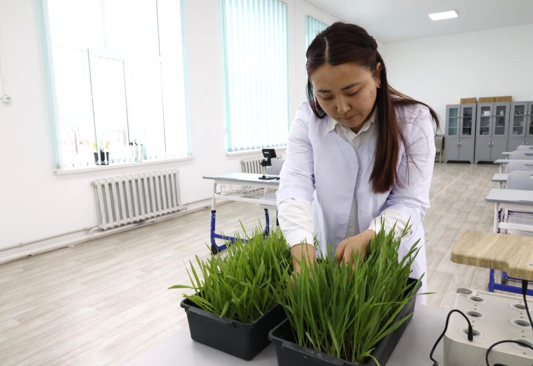 Jetisýdaǵy jańa mamandyqtar legi