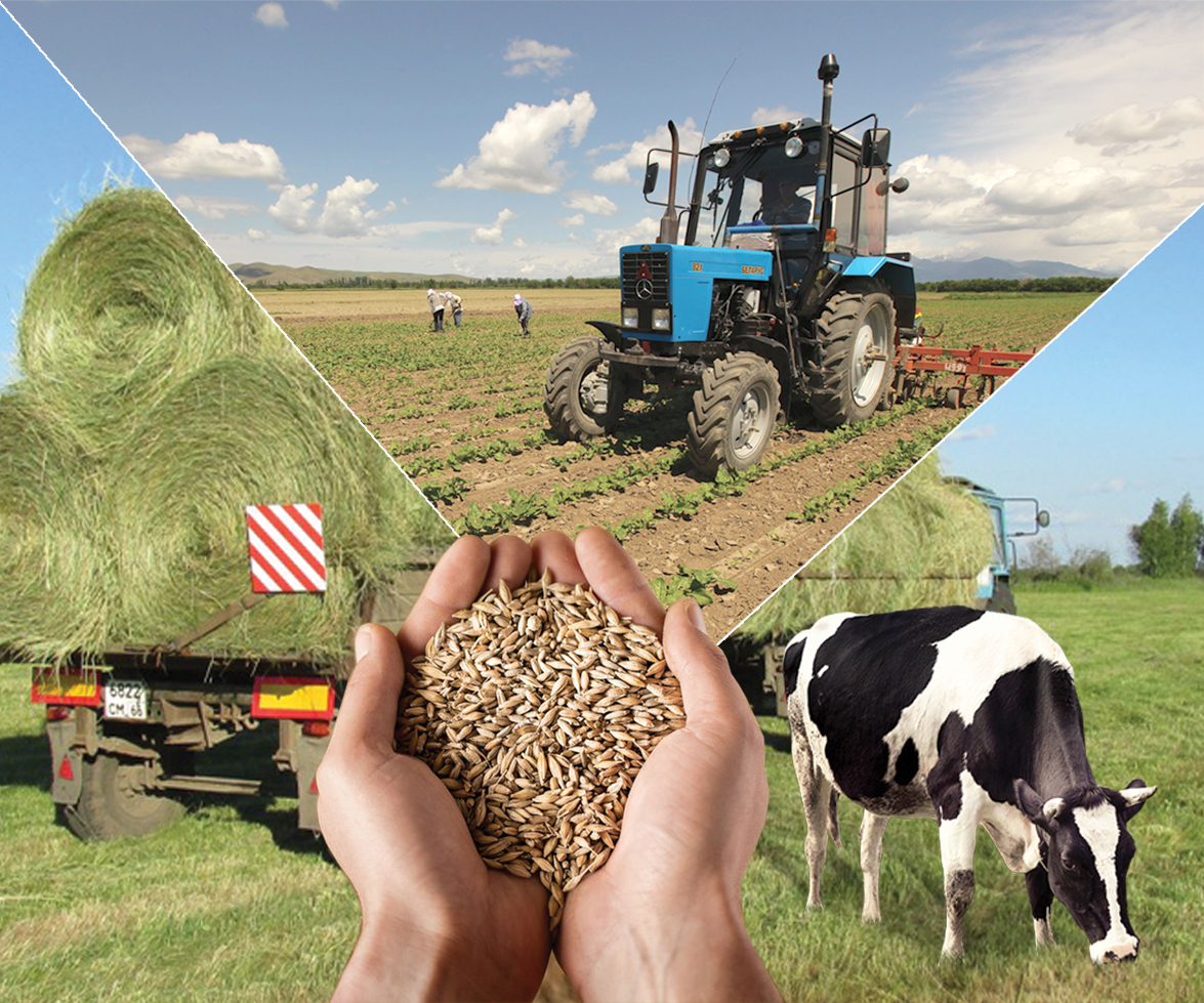 Jerdi durys ıgerý – strategııalyq ustanym