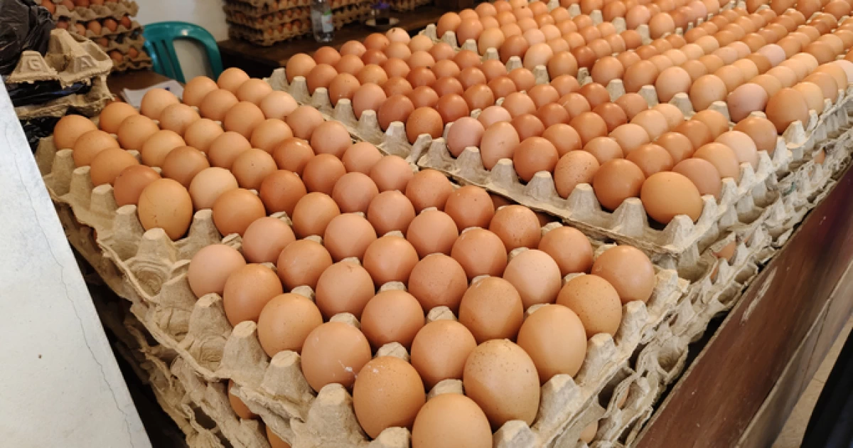 EAEO elderinen jumyrtqany ımporttaýǵa tyıym salynady