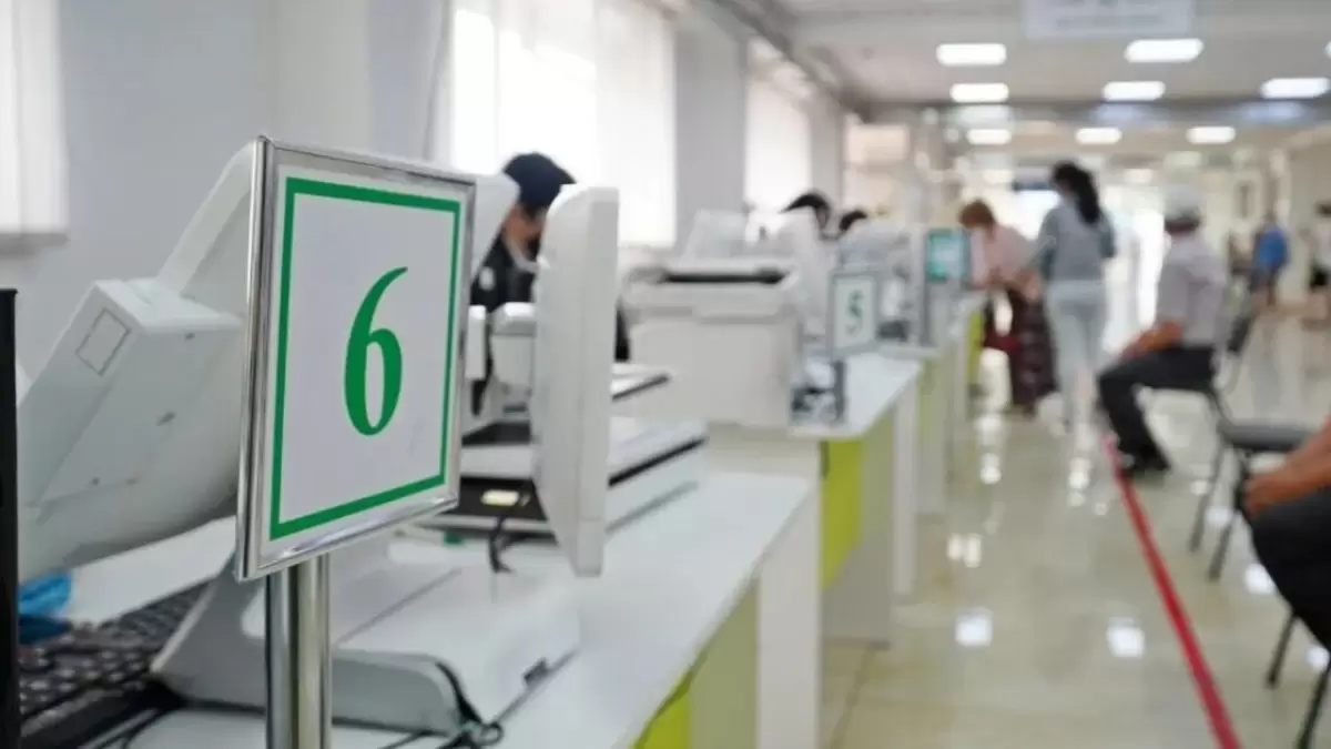 Mereke kúnderi HQO men mamandandyrylǵan HQO-lar qalaı jumys isteıdi?