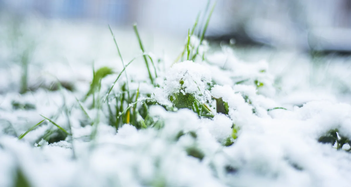 Búgin eldiń basym bóliginde qolaısyz aýa raıy kútiledi