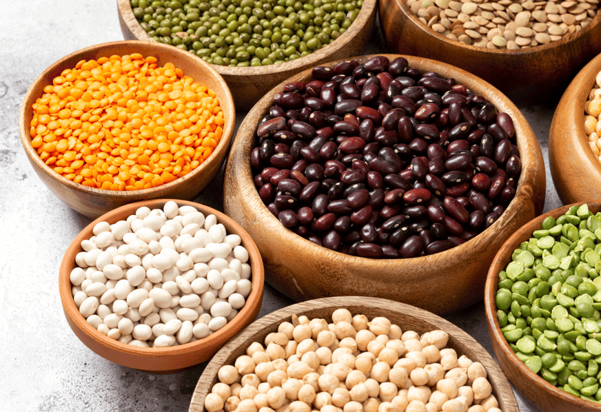 Fermerler 2025 jyly burshaq daqyldarynyń rekordtyq ónimin jınady