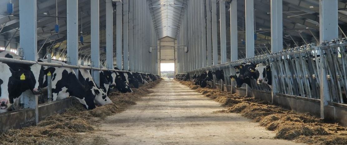 Mal sharýashylyǵy: Jeńildetilgen nesıe neshe paıyzben beriledi?