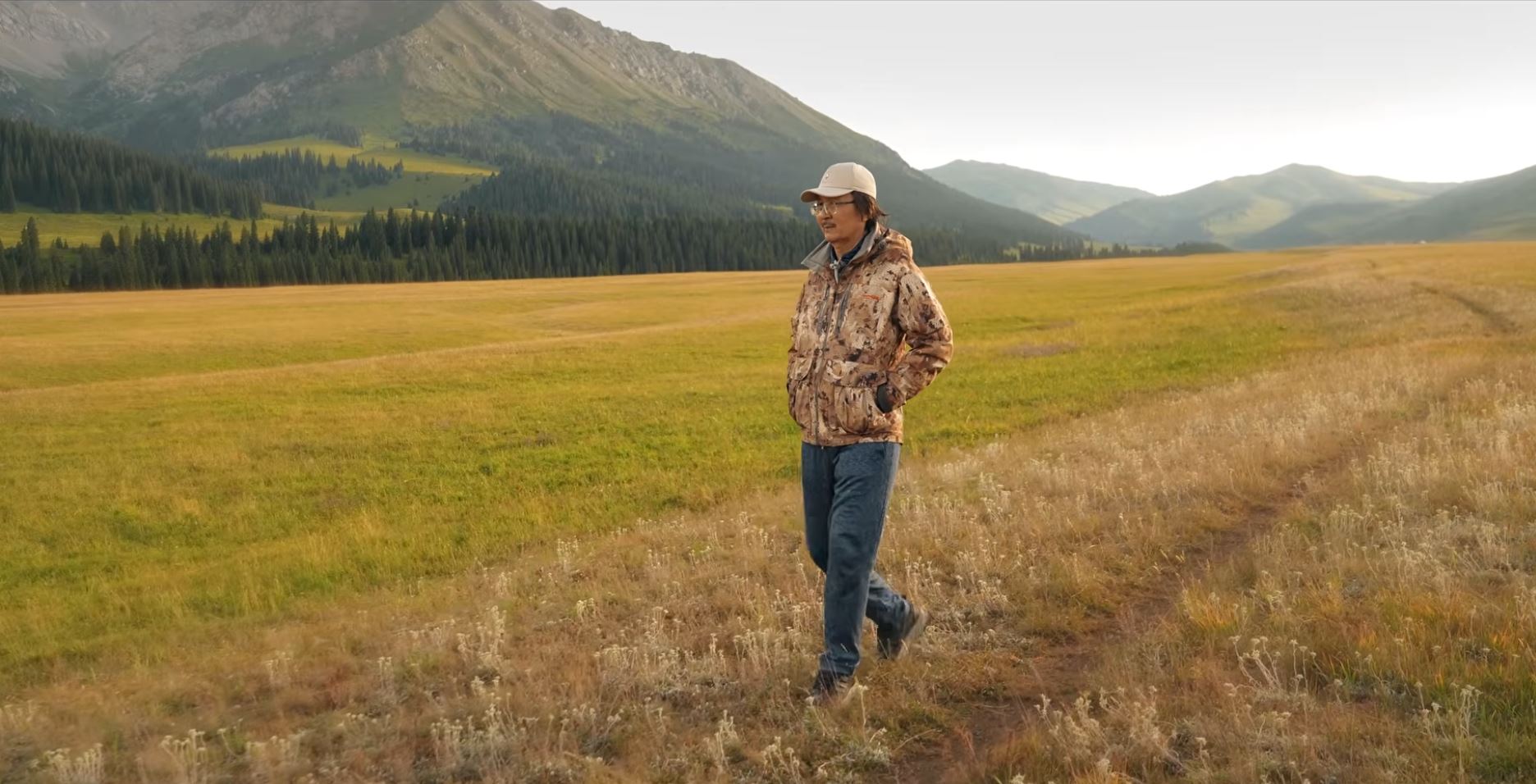 Taý perzenti týraly fılm