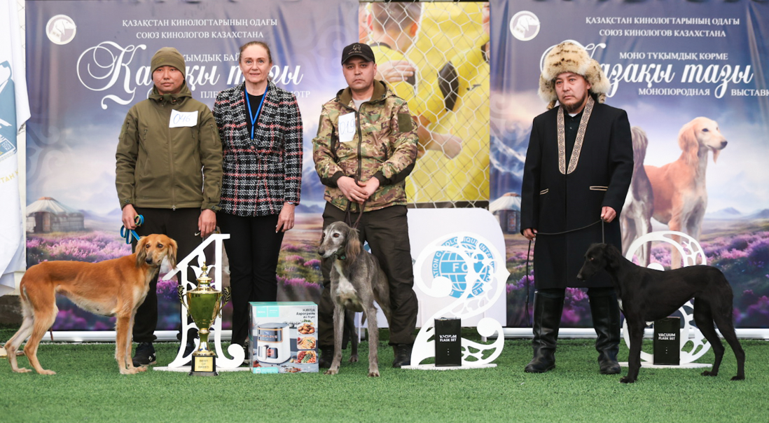 Almatyda qazaqy tazy ıtterdiń kórmesi ótti