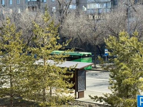 Jetisýda qoǵamdyq kólik tegin qyzmet kórsetip jatyr