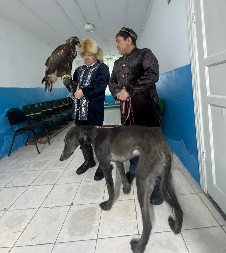 Aqmola oblysynda erekshe kórinis: saılaýshylar ýchaskege búrkit pen tazy alyp keldi