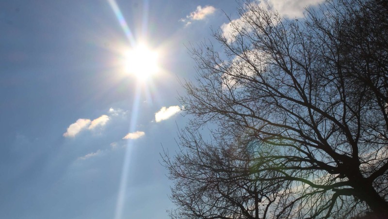 Demalys kúnderi elimizde 28 gradýsqa deıin kún jylynady