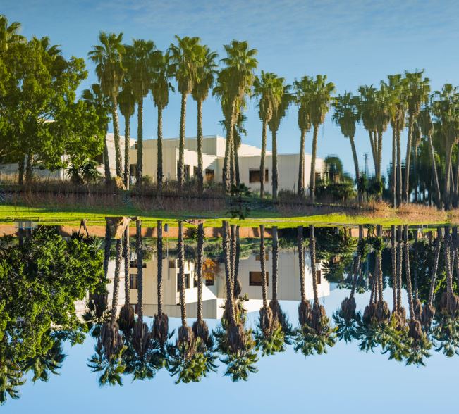 Florıda turǵyny ChatGPT-diń kómegimen úıin 5 kúnde satqan