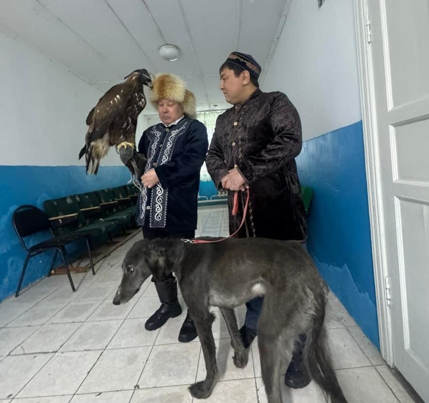 Aqmola oblysynda erekshe kórinis: saılaýshylar ýchaskege búrkit pen tazy alyp keldi