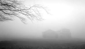 Elimizdiń basym bóliginde tuman jáne kóktaıǵaq bolady