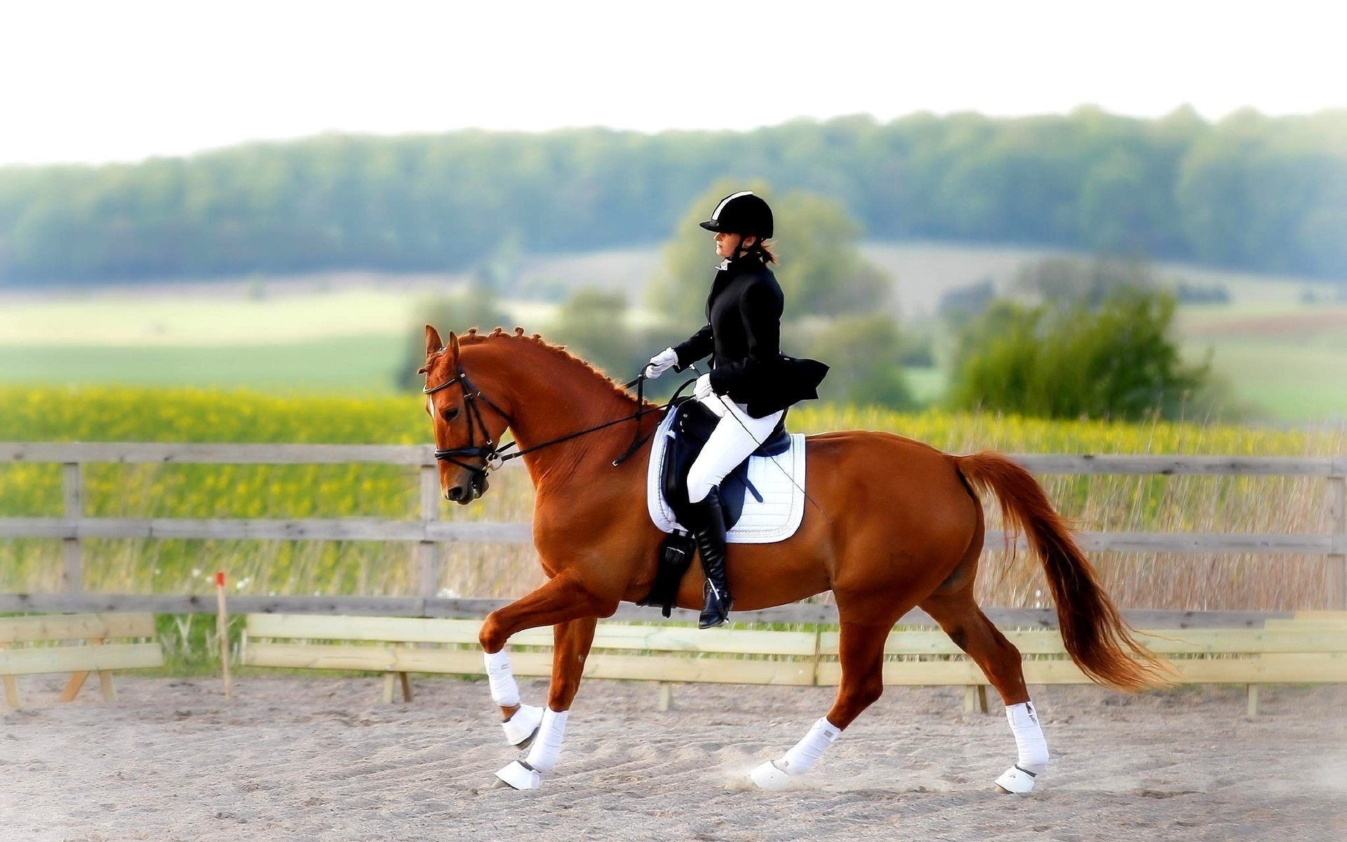 Astanada at sportynan el chempıonaty ótedi